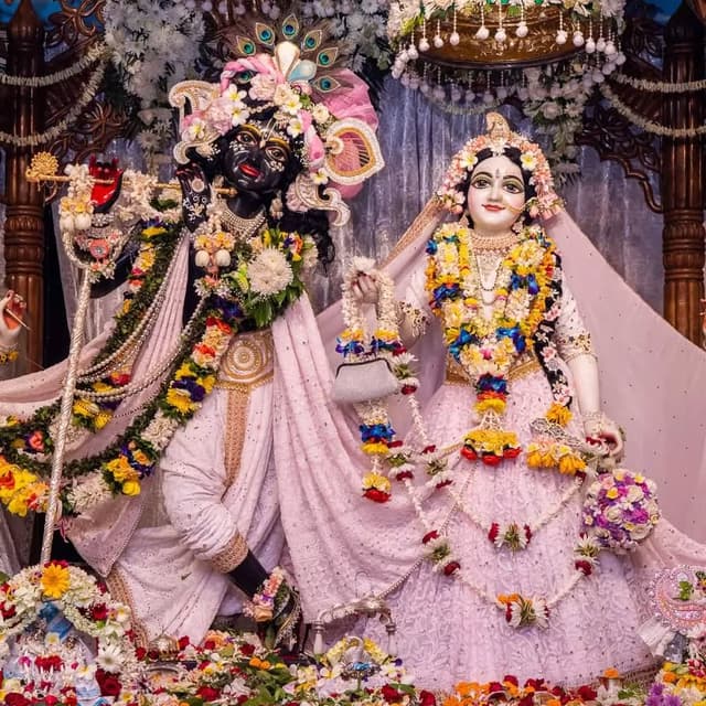 Sri Sri Radha Madhava - Mayapur